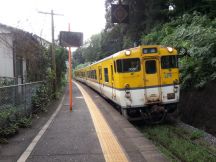 40339-5.jpg
