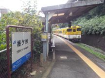 40339.jpg