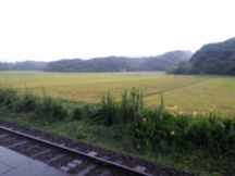 40348-1.jpg