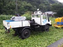 40349-2.jpg