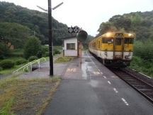 40353.jpg