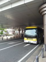 40391.jpg