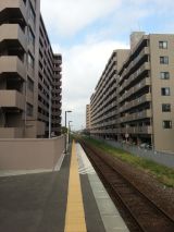 40394-2.jpg