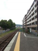 40394-3.jpg