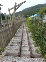 40425-1.jpg