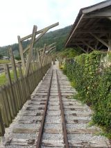 40425-2.jpg