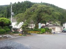 40426-4.jpg
