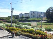 40442-4.jpg
