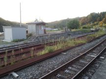 40450-2.jpg