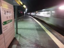 40453.jpg