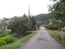 40469-4.jpg