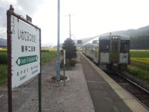 40491.jpg