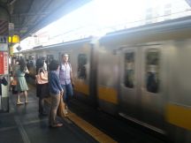 40503-1.jpg