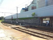 40523-1.jpg