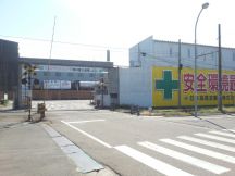 40530-2.jpg