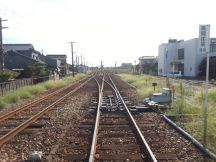 40533.jpg