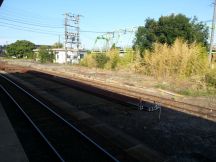 40536-1.jpg
