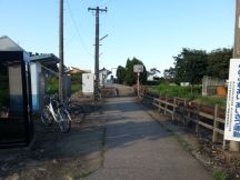 40537-1.jpg