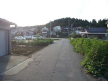 40537-2.jpg
