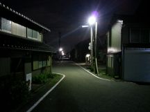 40545-1.jpg