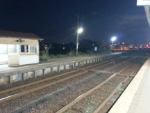 40545-6.jpg