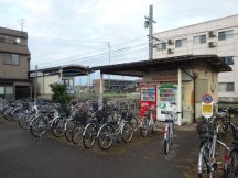 40597-5.jpg
