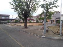 40597-6.jpg