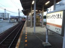 40599.jpg