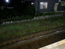 40603-1.jpg
