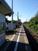 40625-1.jpg