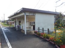 40627-3.jpg
