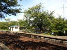 40640-1.jpg