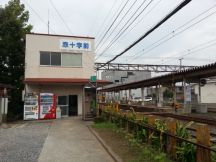 40682-4.jpg