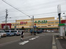 40687-2.jpg