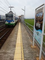 40689-4.jpg