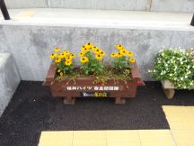 40691-4.jpg