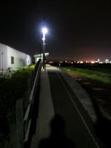 40708-2.jpg