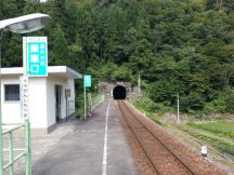 40729-1.jpg