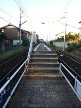 40763-6.jpg
