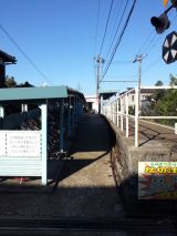 40770-3.jpg