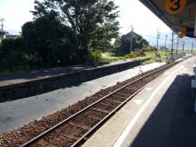 40772-5.jpg