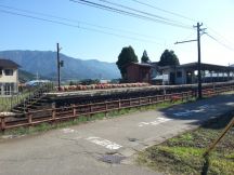 40775-5.jpg