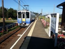 40775.jpg