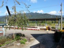 40781-2.jpg