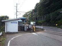 40782-1.jpg