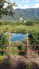 40782-3.jpg