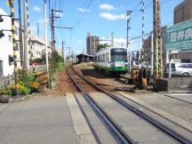 40789-3.jpg