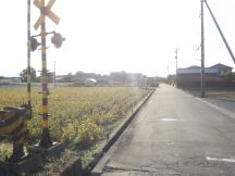 40801-2.jpg