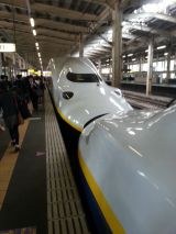 40821-1.jpg