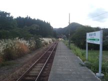 40860-1.jpg